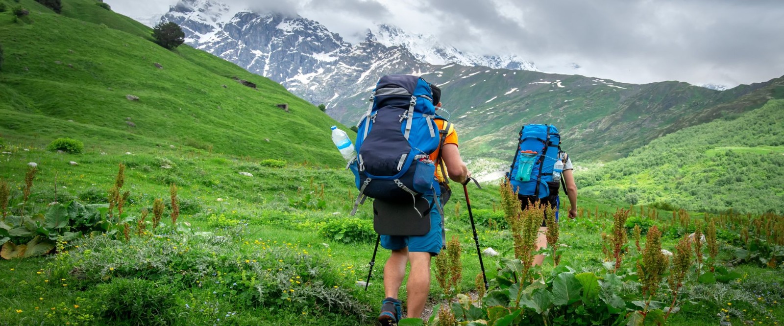 Trekking Trails: Nature Walks to Hidden Valleys