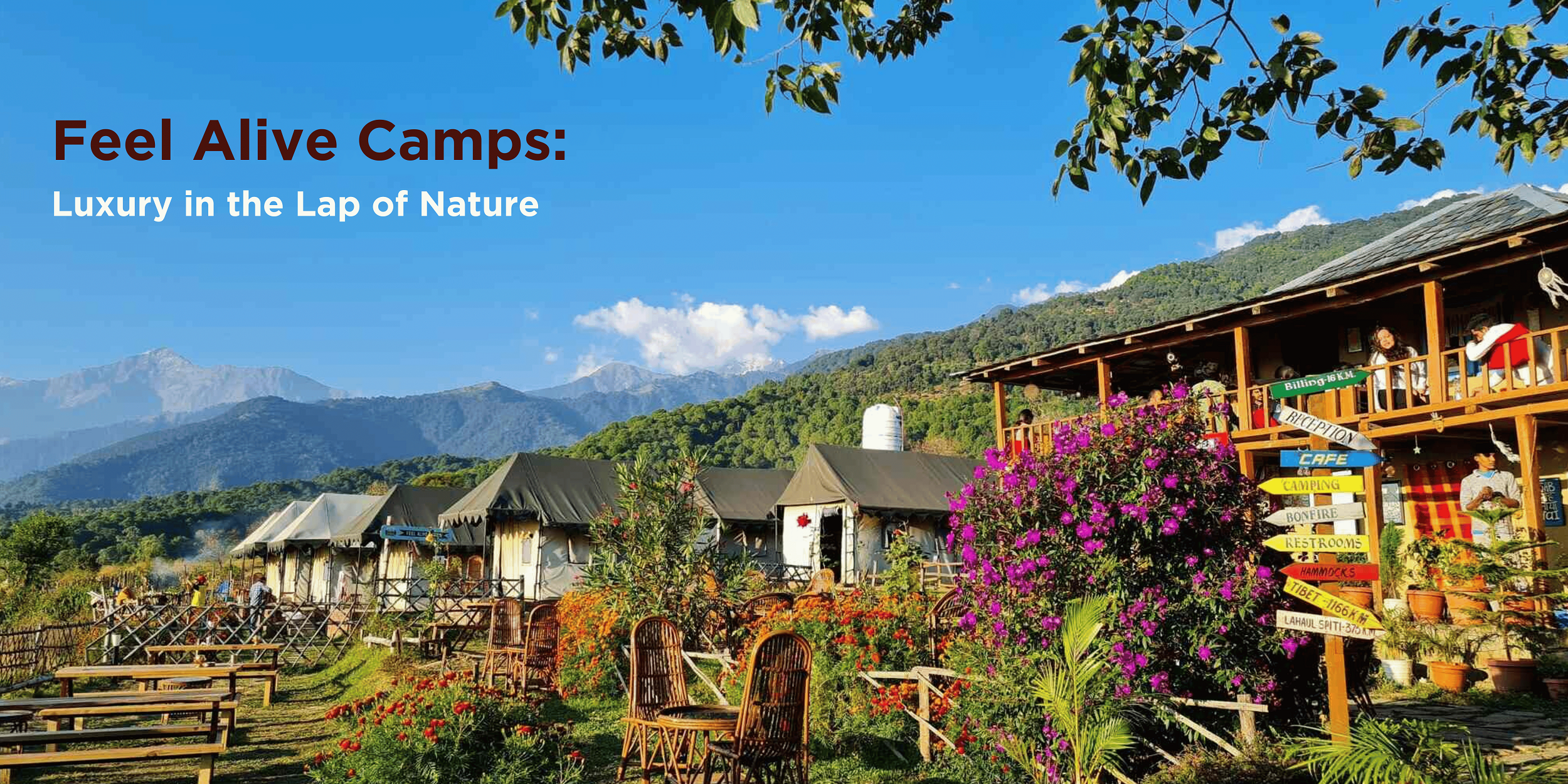 Visit Bir Billing for paragliding adventures, scenic views, and nature escapes