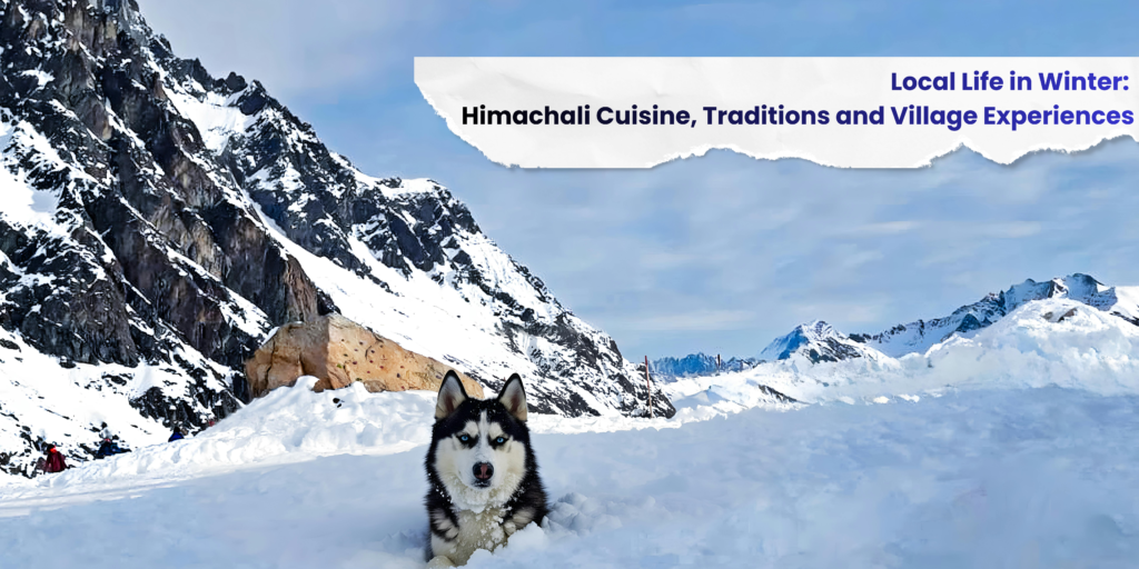 Local Life in Winter: Himachali Cuisine, Traditions, and Village Experiences