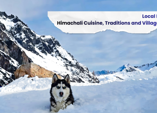 Local Life in Winter: Himachali Cuisine, Traditions, and Village Experiences