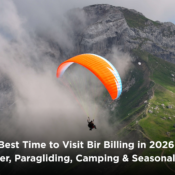 bir billing